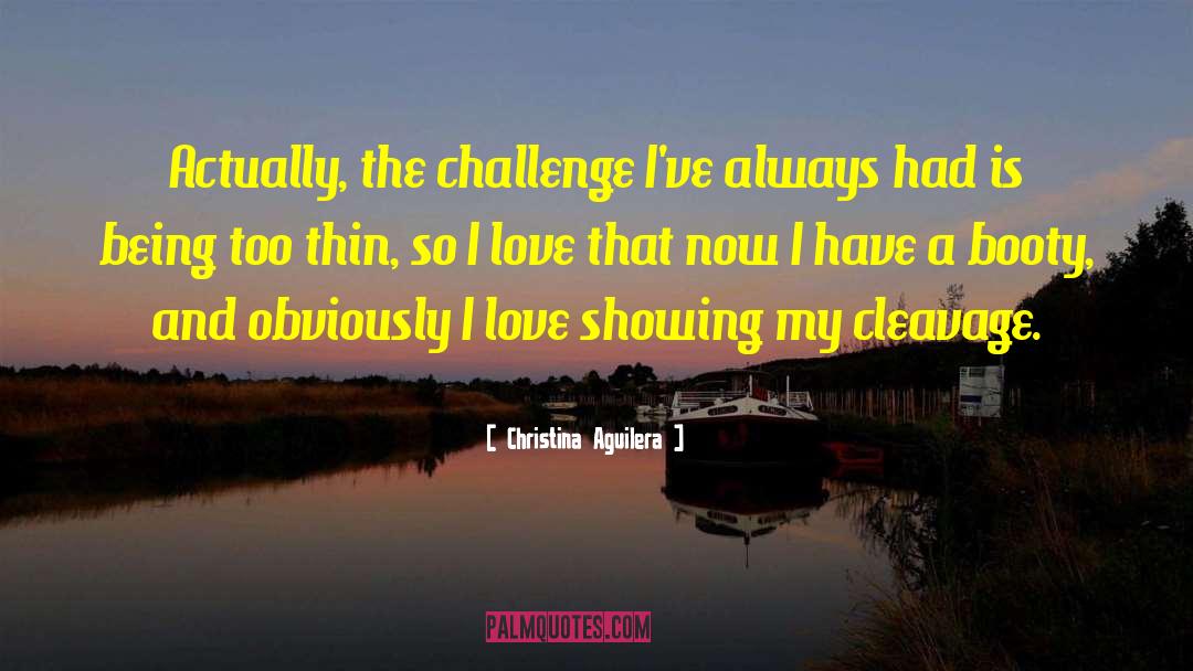Christina Aguilera Quotes: Actually, the challenge I've always