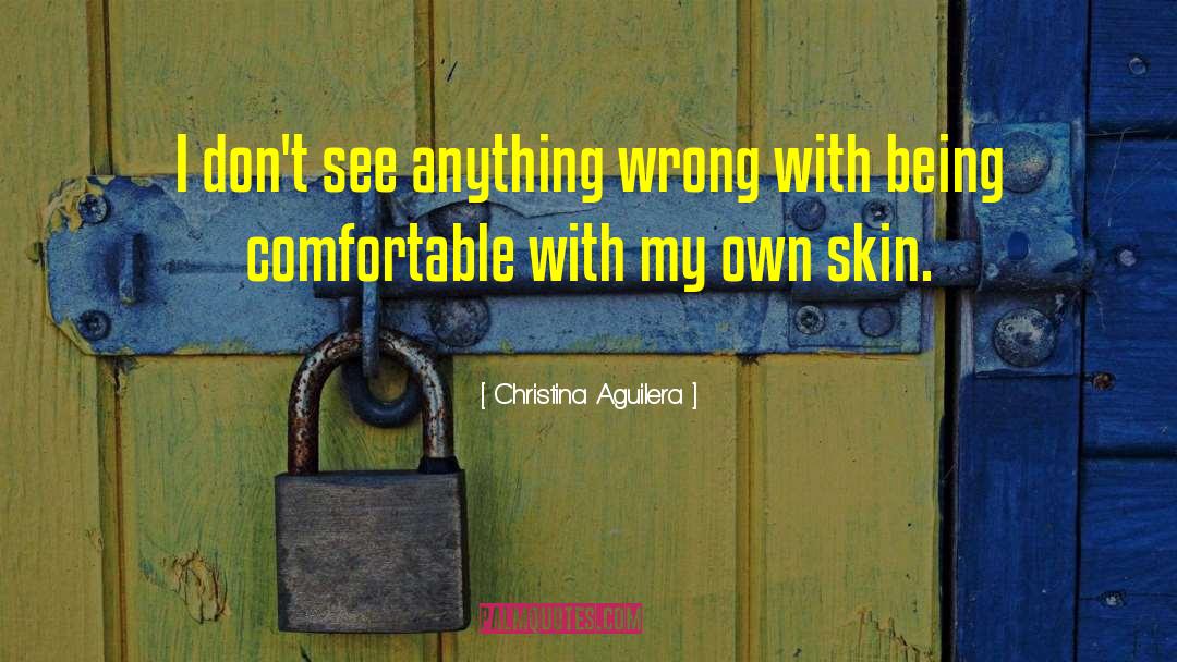 Christina Aguilera Quotes: I don't see anything wrong