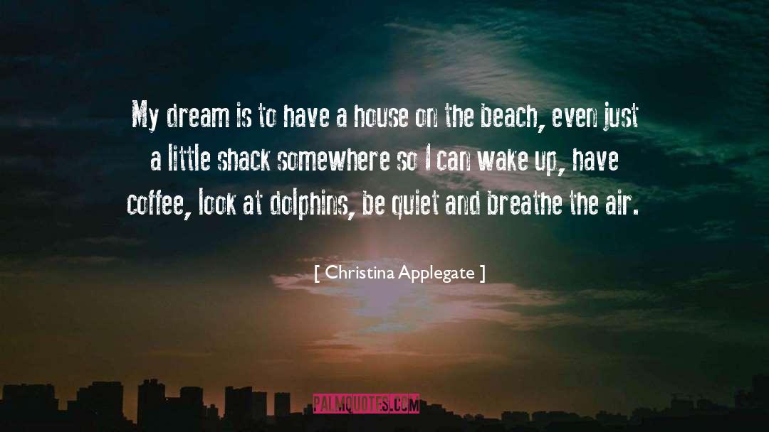 Christina Applegate Quotes: My dream is to have