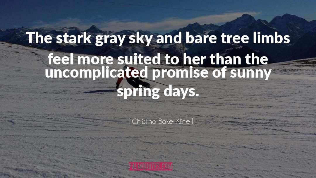 Christina Baker Kline Quotes: The stark gray sky and