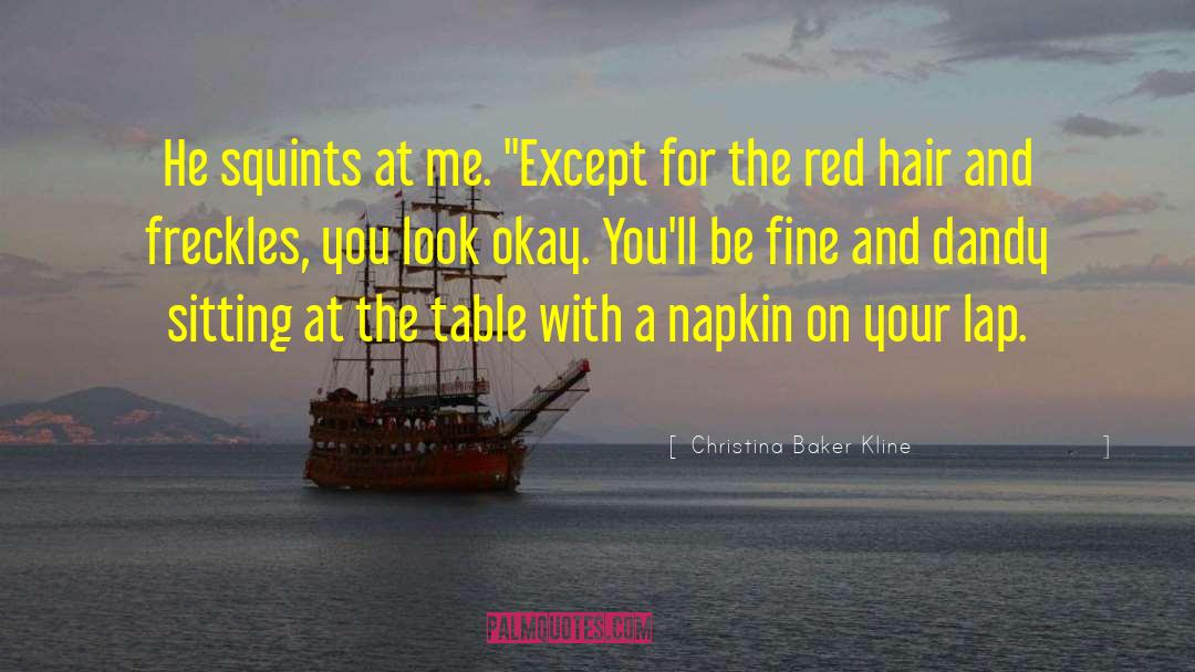 Christina Baker Kline Quotes: He squints at me. 