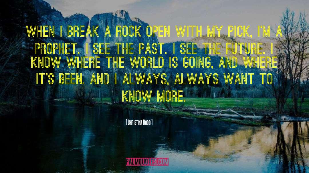 Christina Dodd Quotes: When I break a rock