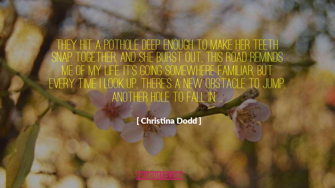 Christina Dodd Quotes: They hit a pothole deep