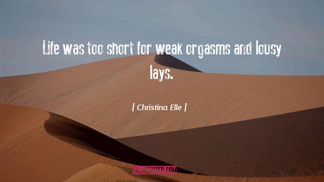 Christina Elle Quotes: Life was too short for