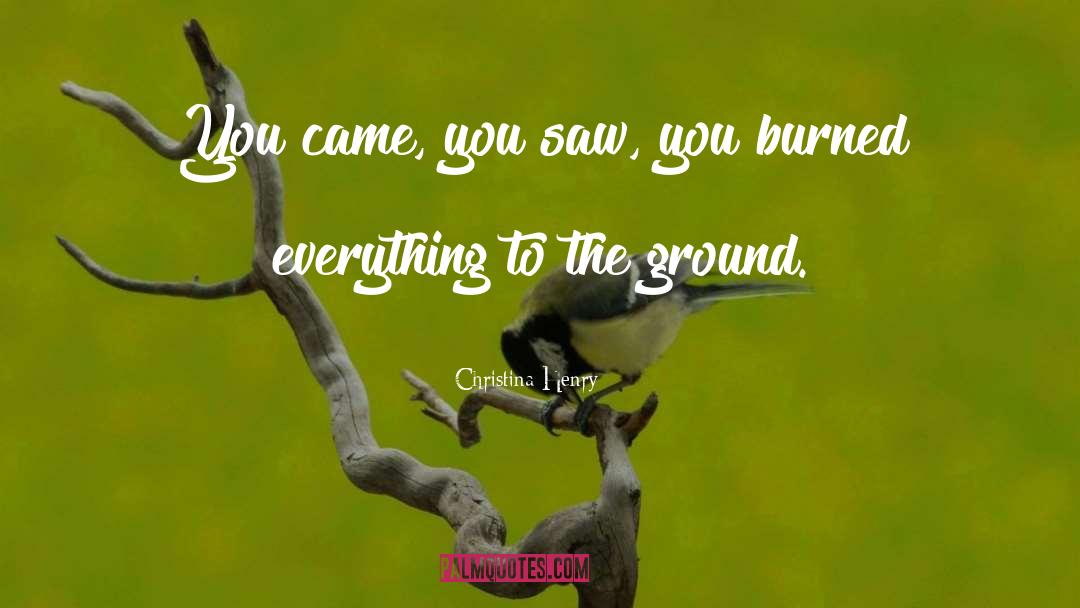 Christina Henry Quotes: You came, you saw, you