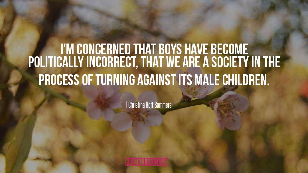 Christina Hoff Sommers Quotes: I'm concerned that boys have