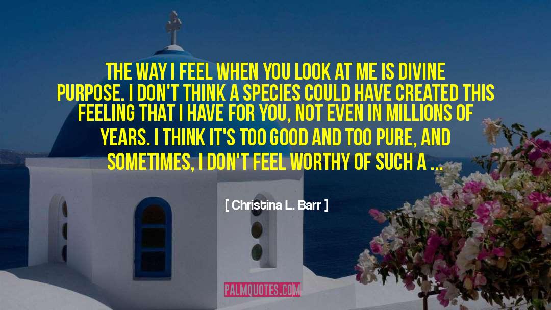 Christina L. Barr Quotes: The way I feel when