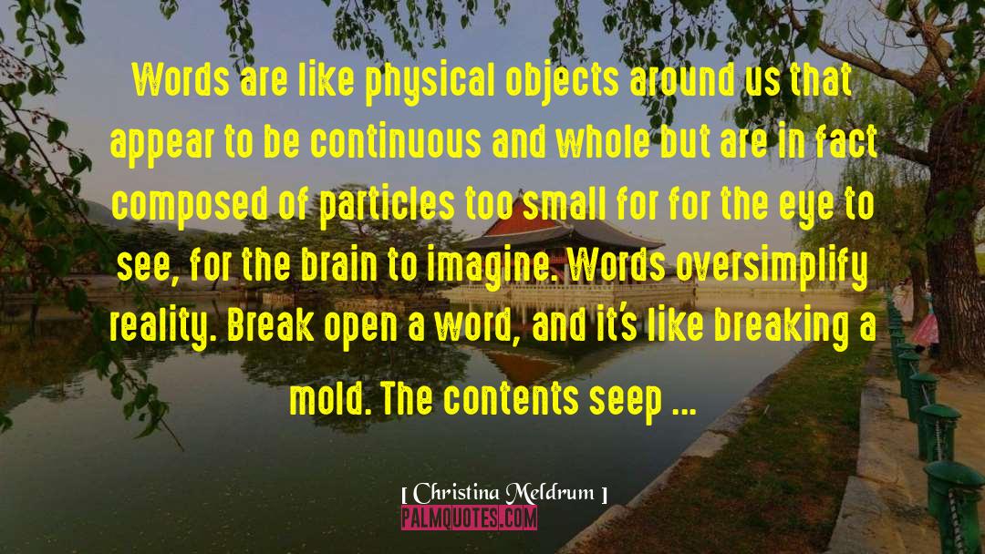 Christina Meldrum Quotes: Words are like physical objects