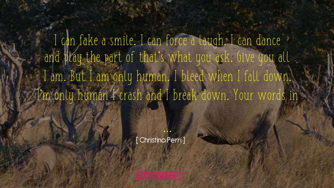 Christina Perri Quotes: I can fake a smile.