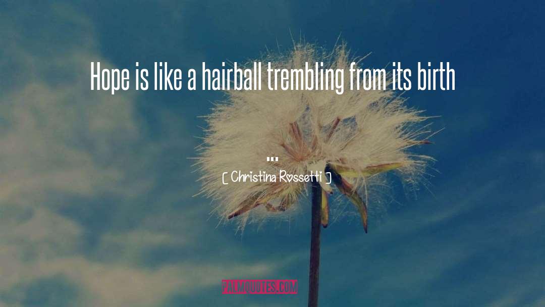 Christina Rossetti Quotes: Hope is like a hairball