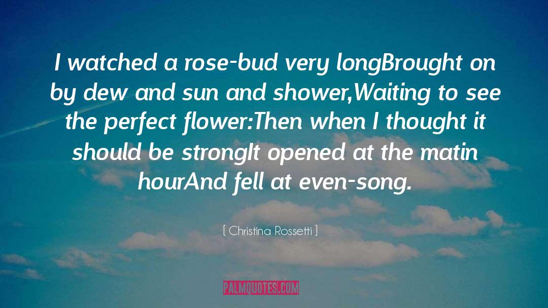 Christina Rossetti Quotes: I watched a rose-bud very