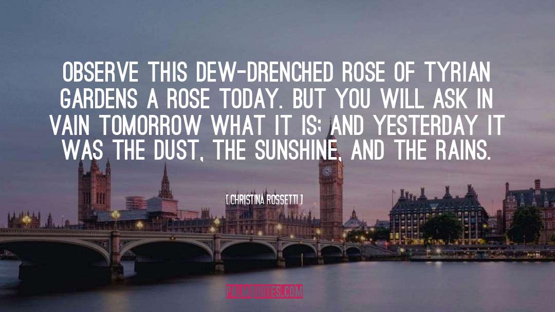 Christina Rossetti Quotes: Observe this dew-drenched rose of