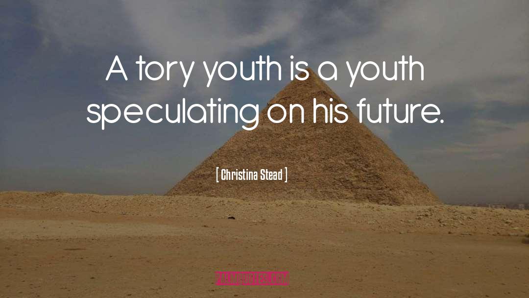 Christina Stead Quotes: A tory youth is a