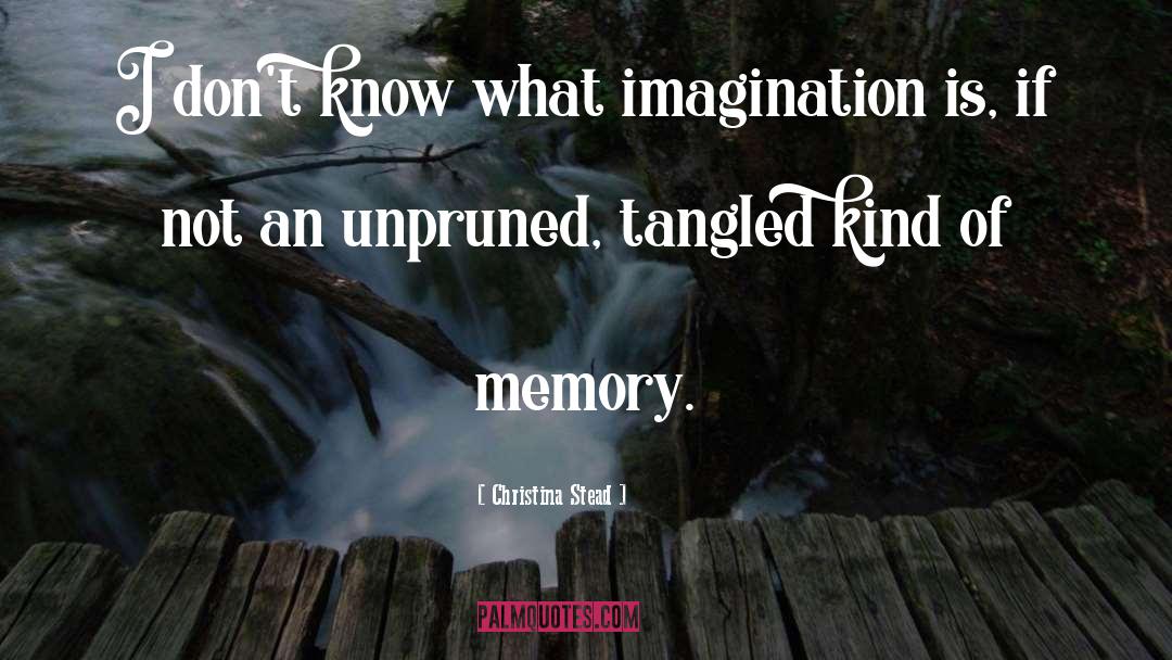 Christina Stead Quotes: I don't know what imagination