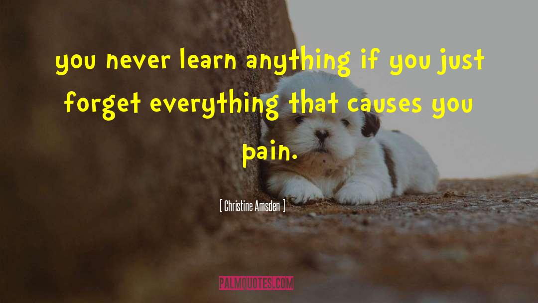 Christine Amsden Quotes: you never learn anything if