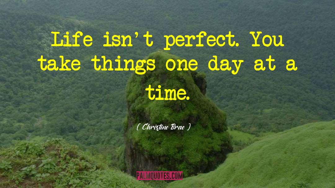 Christine Brae Quotes: Life isn't perfect. You take