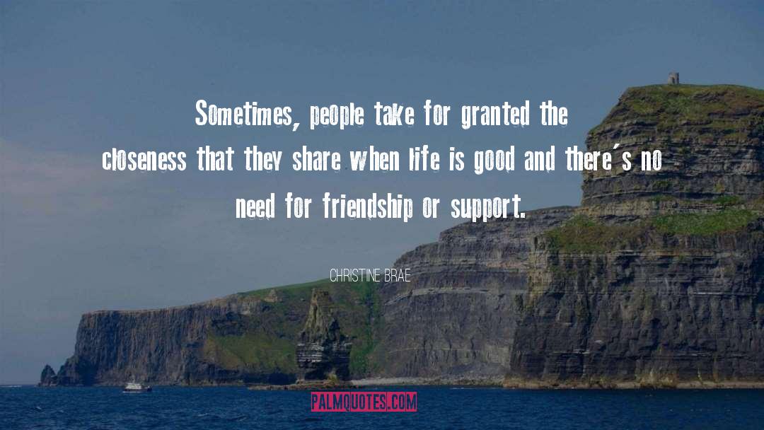 Christine Brae Quotes: Sometimes, people take for granted