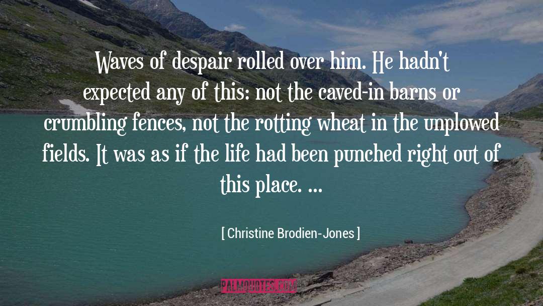 Christine Brodien-Jones Quotes: Waves of despair rolled over