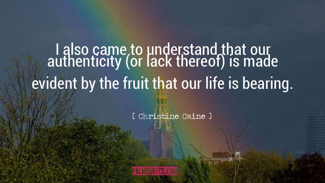 Christine Caine Quotes: I also came to understand