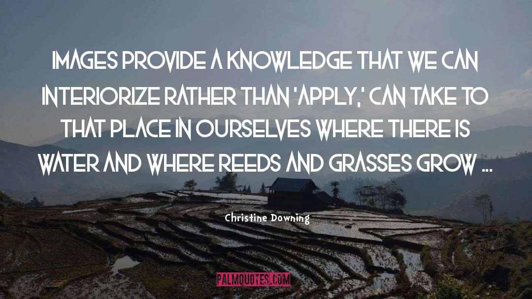 Christine Downing Quotes: Images provide a knowledge that