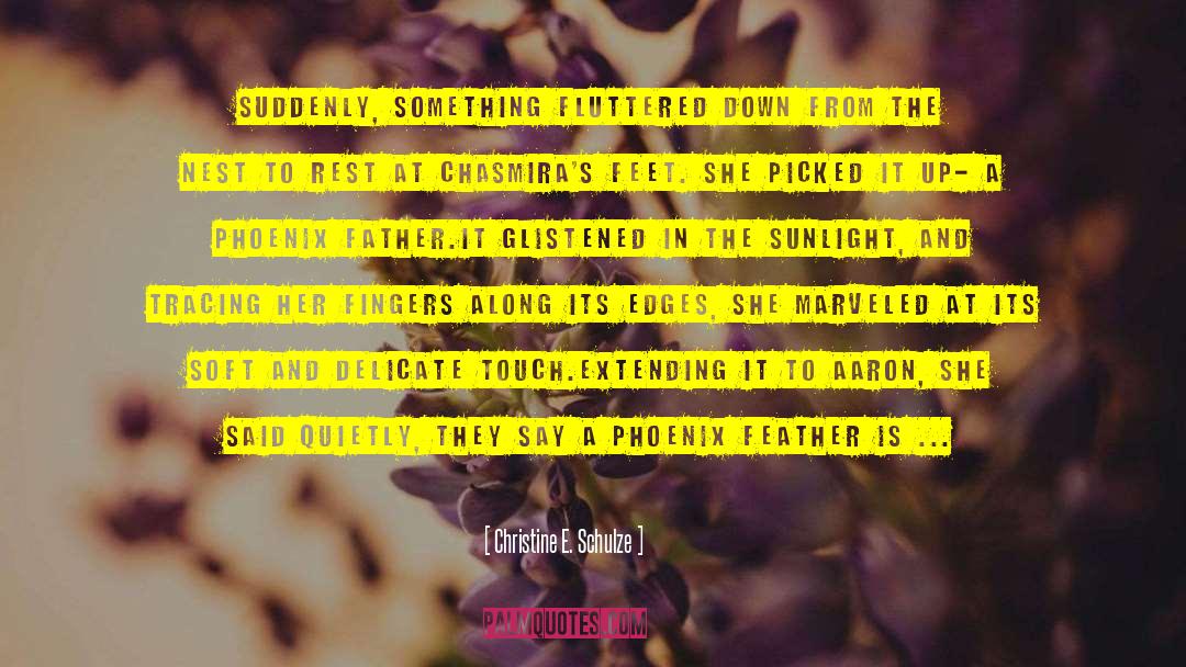 Christine E. Schulze Quotes: Suddenly, something fluttered down from