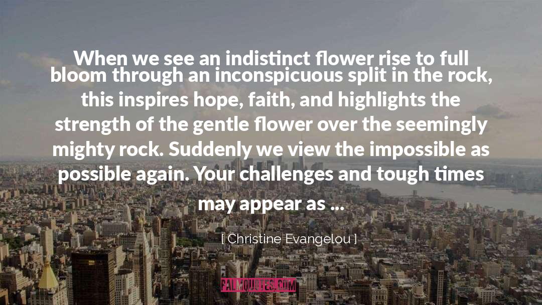Christine Evangelou Quotes: When we see an indistinct