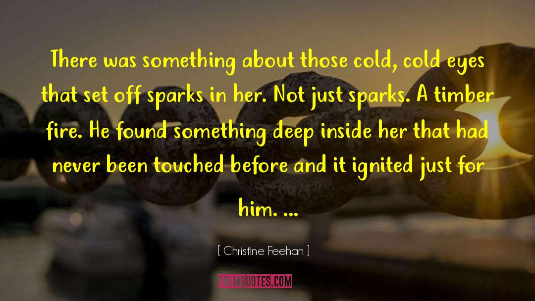 Christine Feehan Quotes: There was something about those