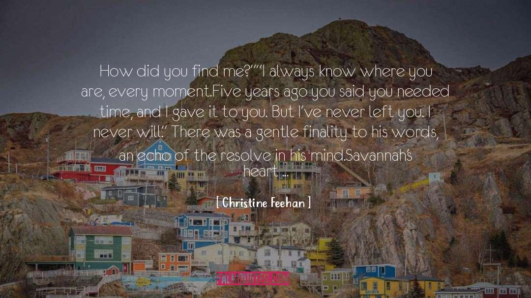 Christine Feehan Quotes: How did you find me?