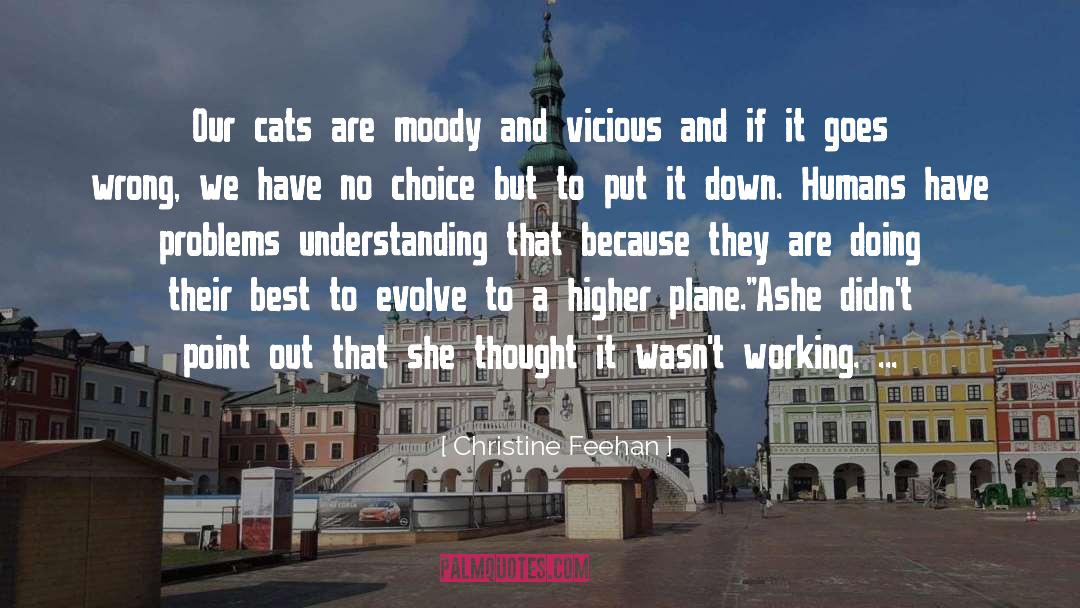 Christine Feehan Quotes: Our cats are moody and