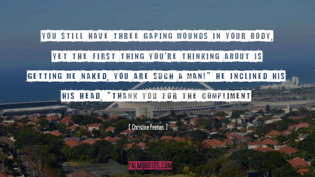 Christine Feehan Quotes: You still have three gaping