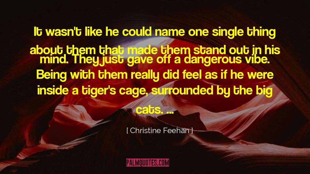 Christine Feehan Quotes: It wasn't like he could