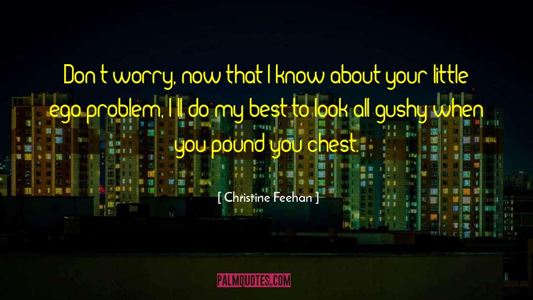 Christine Feehan Quotes: Don't worry, now that I