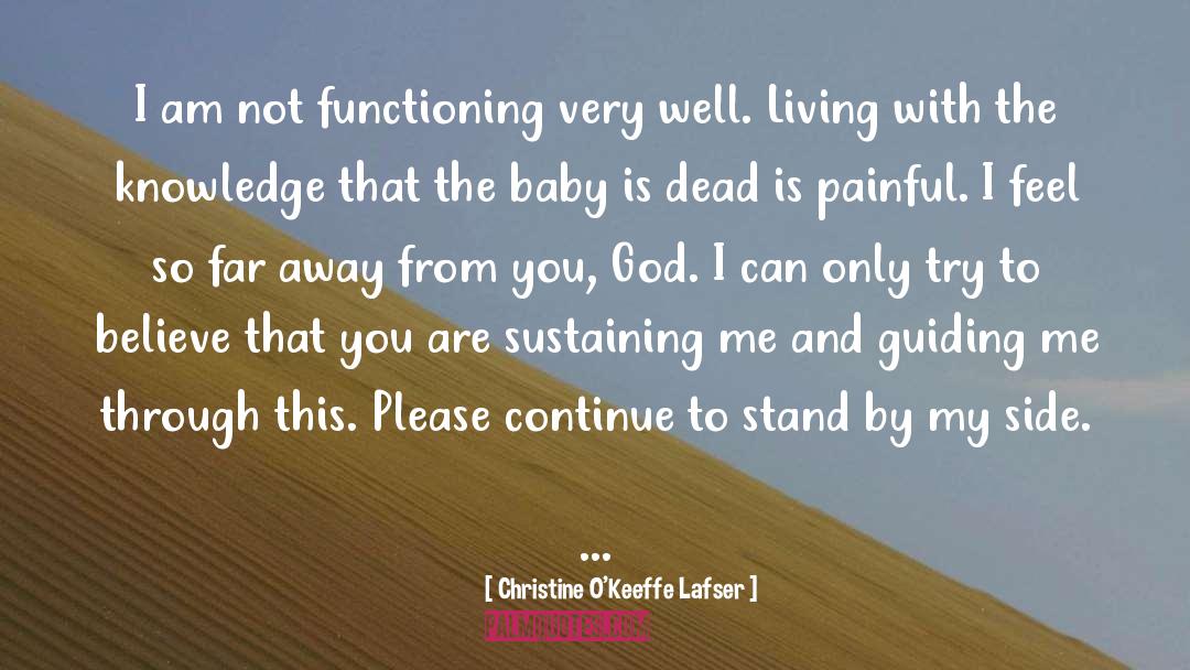 Christine O'Keeffe Lafser Quotes: I am not functioning very