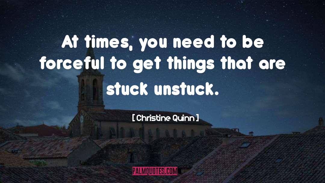 Christine Quinn Quotes: At times, you need to