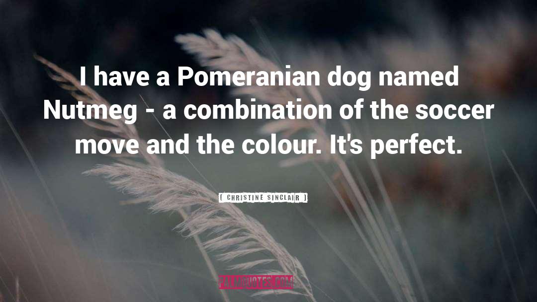 Christine Sinclair Quotes: I have a Pomeranian dog