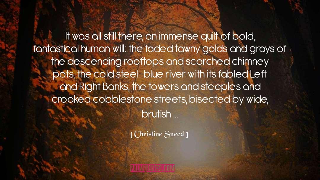 Christine Sneed Quotes: It was all still there,