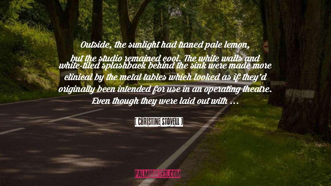 Christine Stovell Quotes: Outside, the sunlight had turned