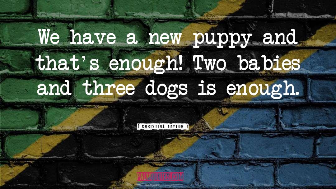 Christine Taylor Quotes: We have a new puppy