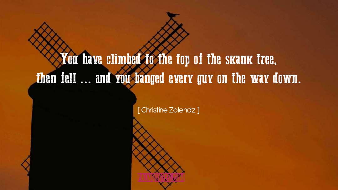 Christine Zolendz Quotes: You have climbed to the