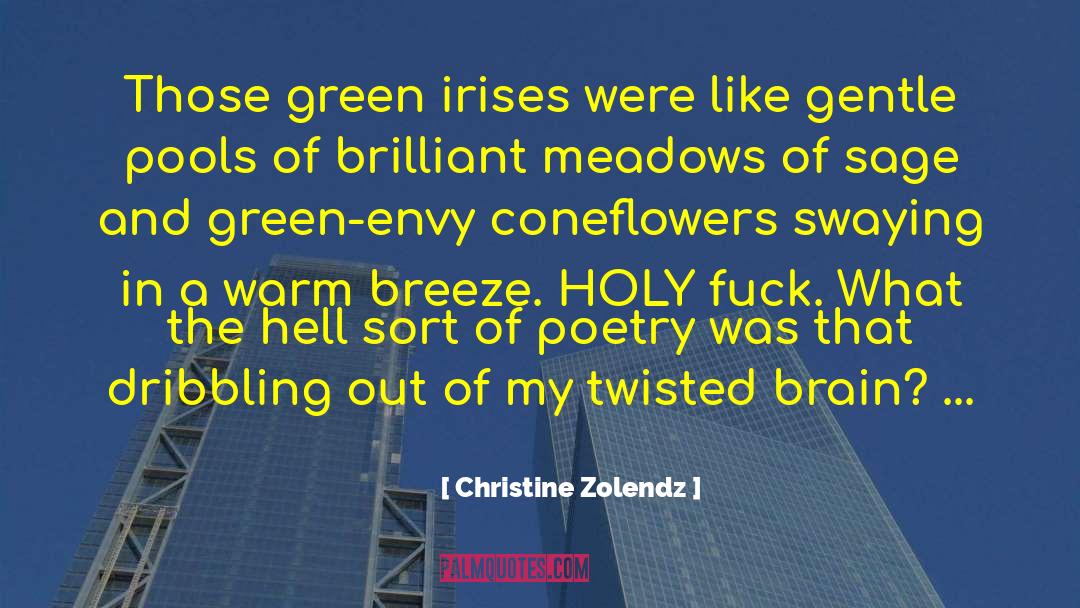 Christine Zolendz Quotes: Those green irises were like