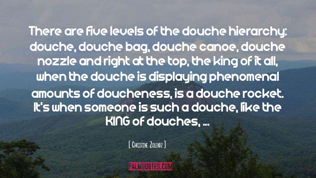 Christine Zolendz Quotes: There are five levels of