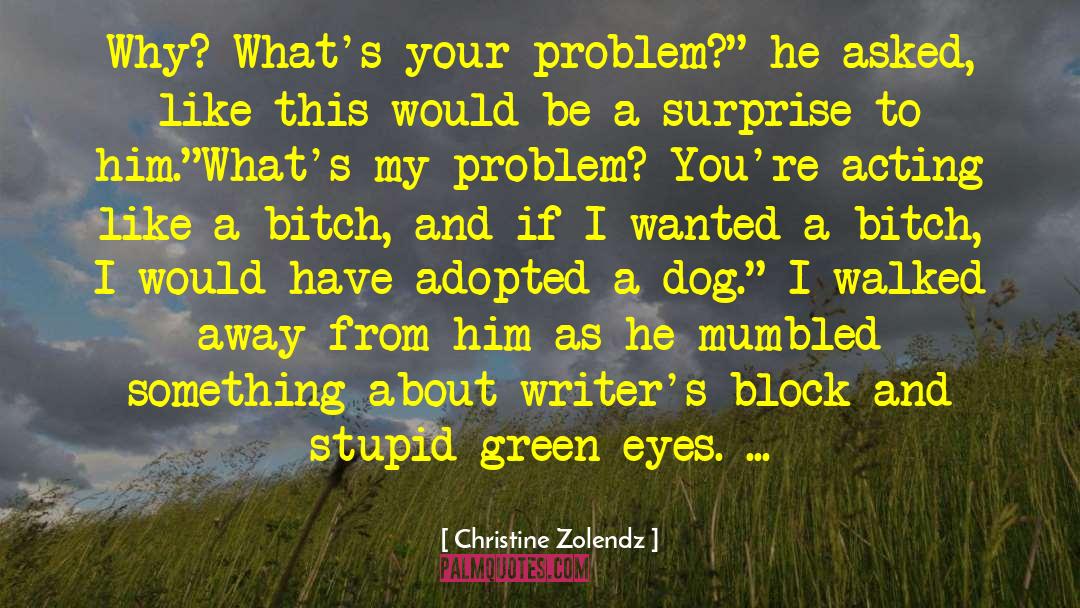 Christine Zolendz Quotes: Why? What's your problem?