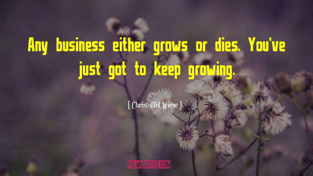 Christoffel Wiese Quotes: Any business either grows or