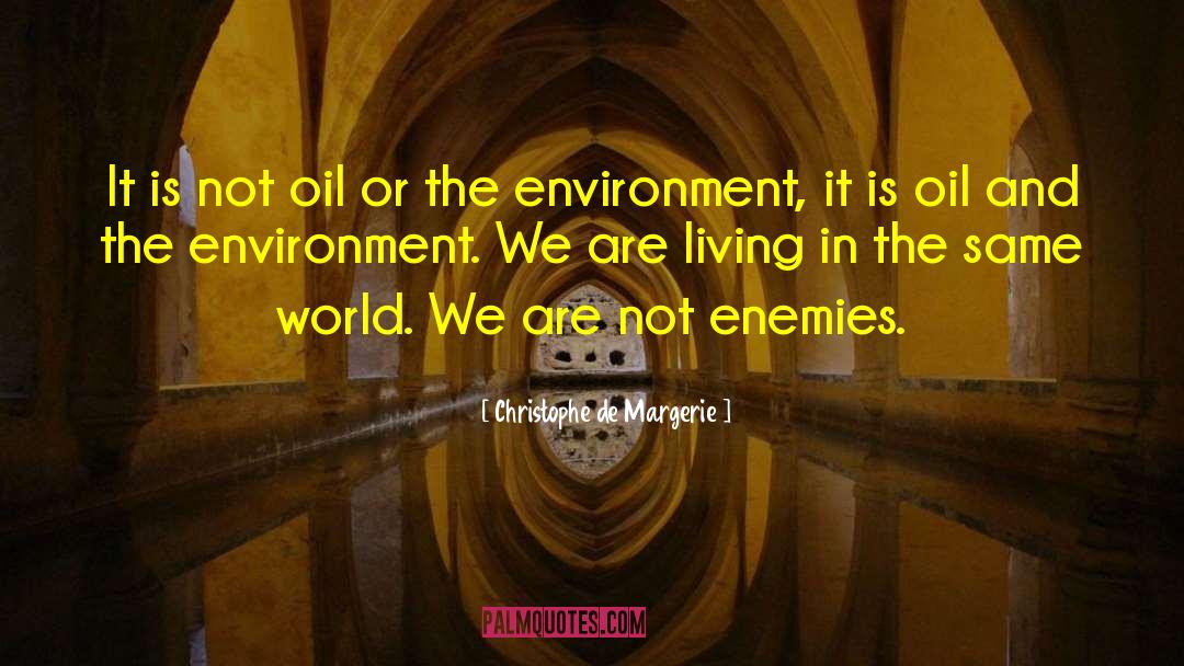 Christophe De Margerie Quotes: It is not oil or