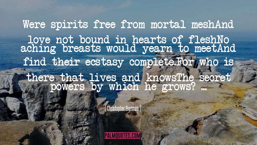 Christopher Brennan Quotes: Were spirits free from mortal