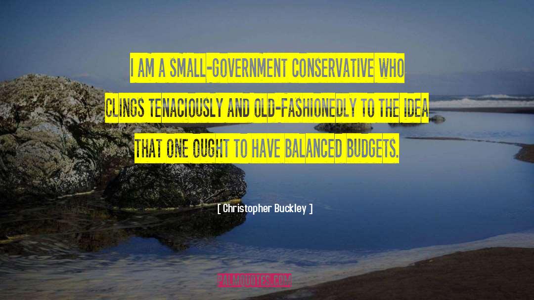 Christopher Buckley Quotes: I am a small-government conservative