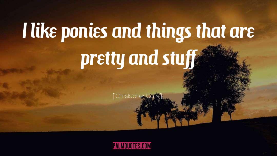 Christopher Calix Quotes: I like ponies and things