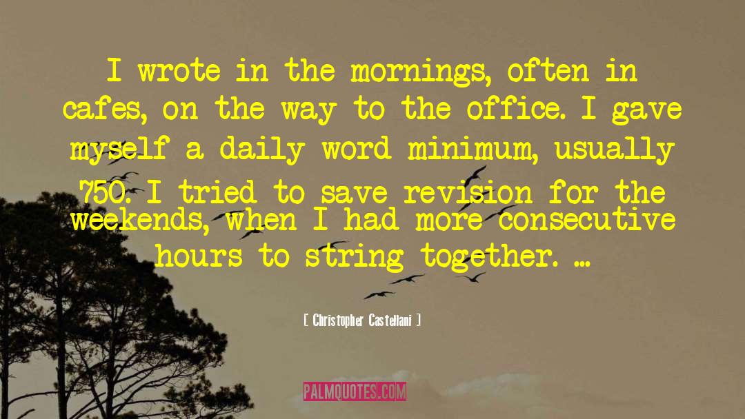 Christopher Castellani Quotes: I wrote in the mornings,