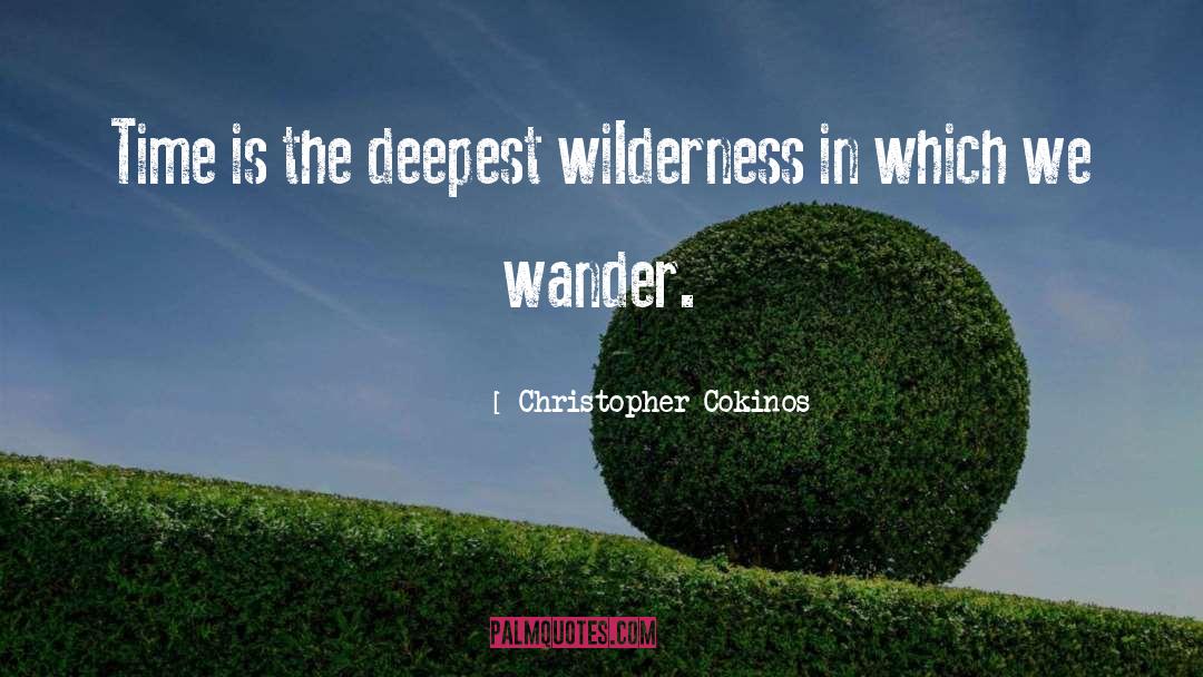 Christopher Cokinos Quotes: Time is the deepest wilderness
