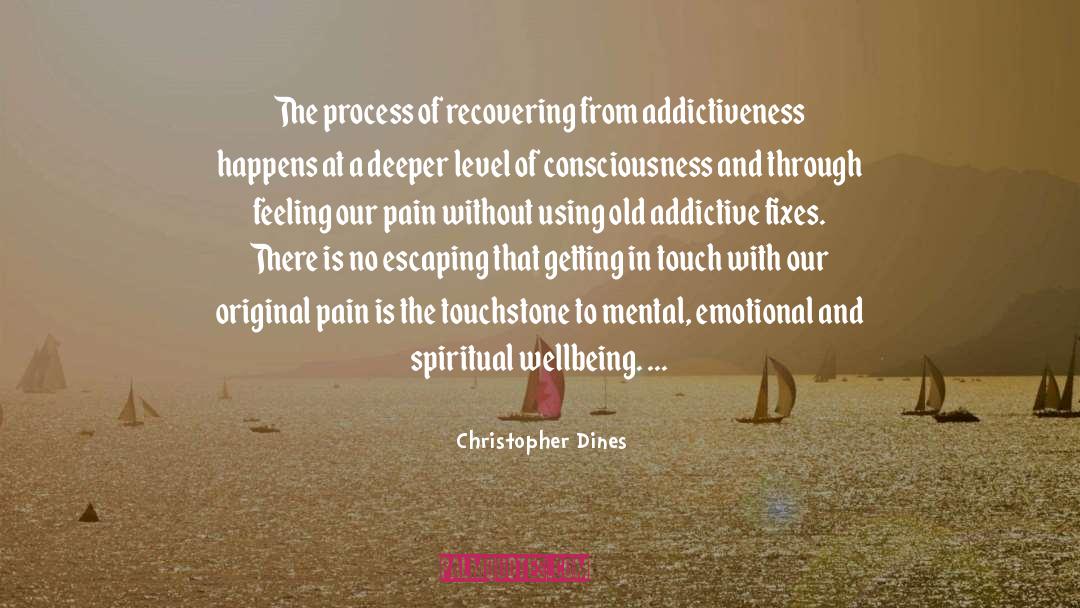 Christopher Dines Quotes: The process of recovering from